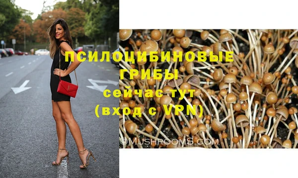 дмт Алексин