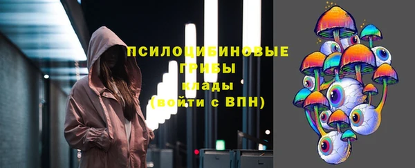 дмт Алексин