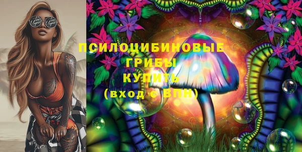 дмт Алексин