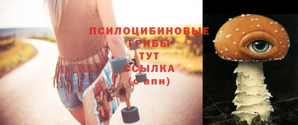 прущие грибы Алексеевка