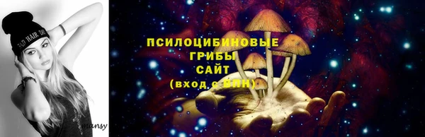 соль ск Алзамай