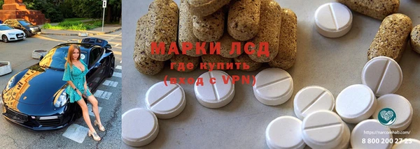 прущие грибы Алексеевка